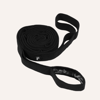 Workout Band von Swedish Posture