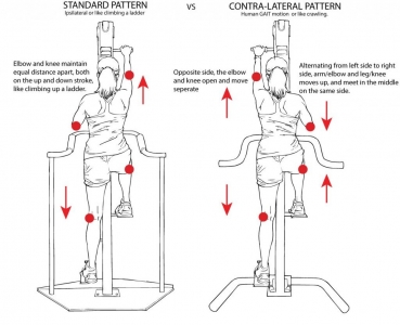 Versaclimber Modell Sportsmedical