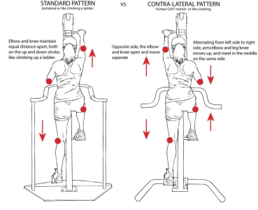 Versaclimber Modell Home